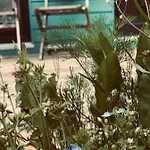Tatil Evi Tinylodge Am Ellertshaeuser *
